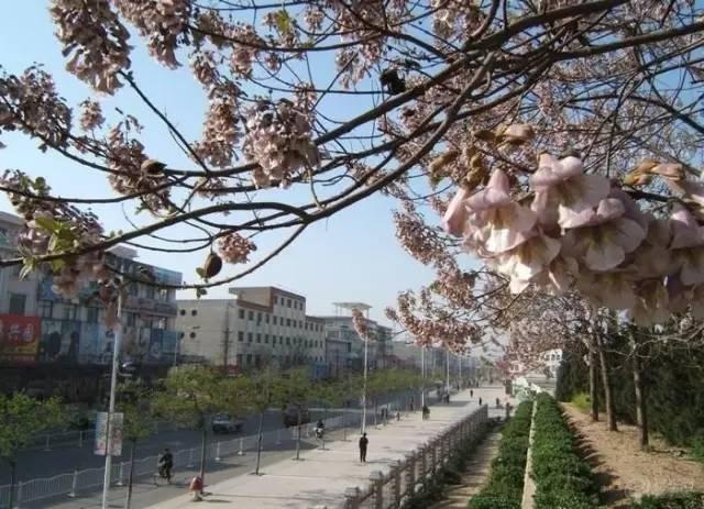 河南这11个县(市)被国家看上 将获重点扶持