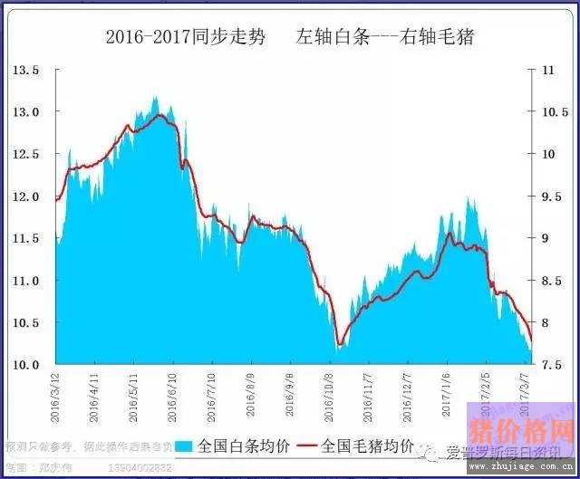 一边白条掉价，一边毛猪价格反弹，这是要上演鸿门宴么？