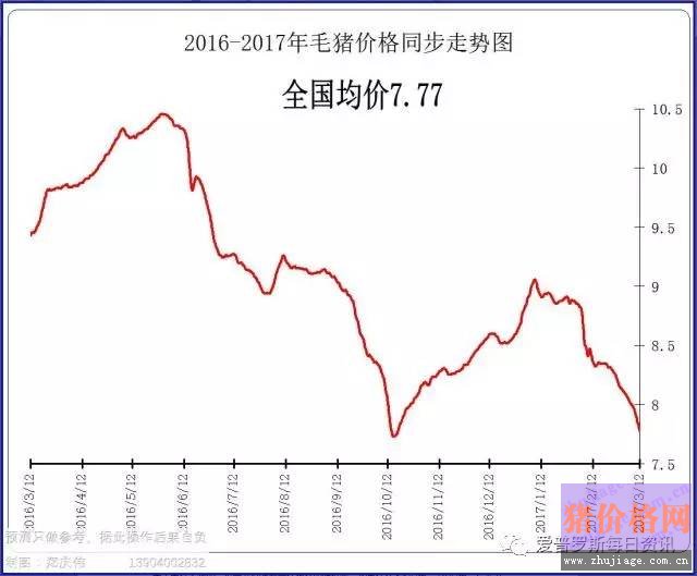 一边白条掉价，一边毛猪价格反弹，这是要上演鸿门宴么？