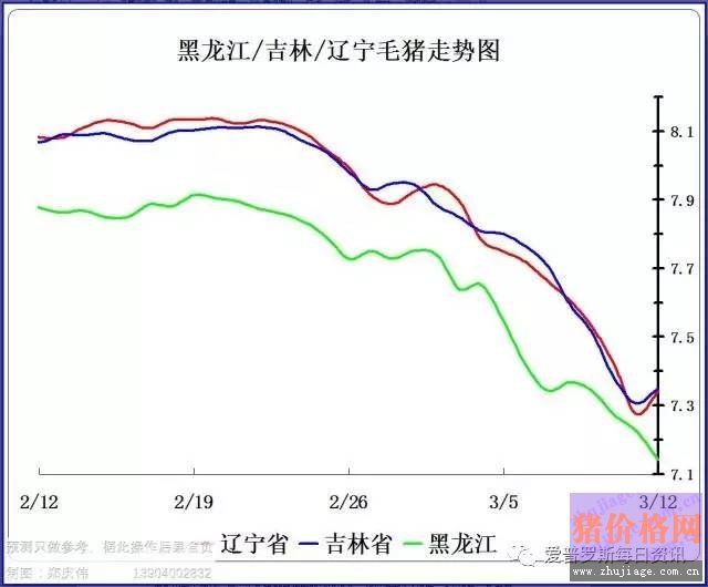 一边白条掉价，一边毛猪价格反弹，这是要上演鸿门宴么？