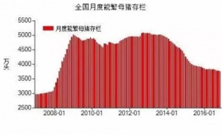 句句在理，有图有真相！近五年生猪生产形势分析