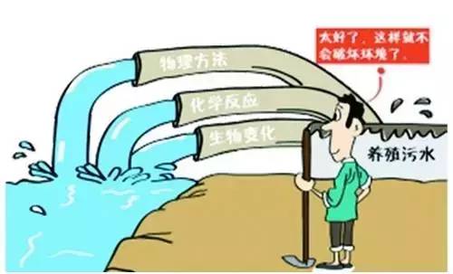 规模化养殖是趋势 养猪场与环保之间矛盾加剧
