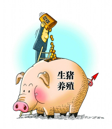 猪价下跌、成本压缩,多面夹击下,养猪人未来的希望在哪儿?