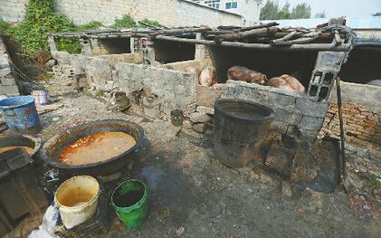 心声:别让“餐厨垃圾猪”祸害百姓的舌尖
