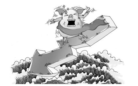 国内猪价继续回落 短期跌势或将放缓