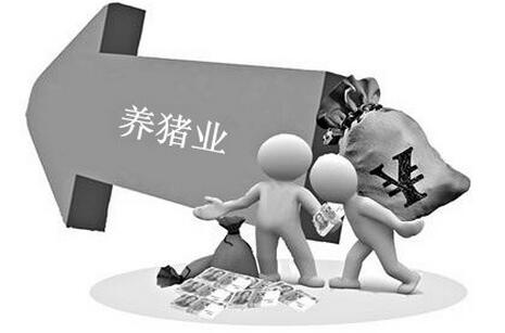 养猪业要发展 必须要解决这些问题......