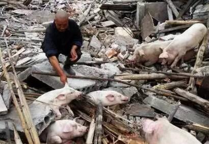 养猪场强拆的本质是什么？