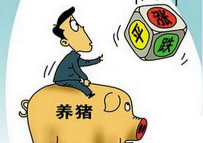 专家:猪价不存在大幅下跌的可能,但这3点需要注意!