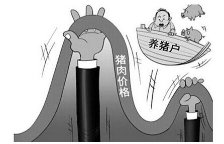 养猪人哭着说：猪价去年高得不正常，今年跌得不正常