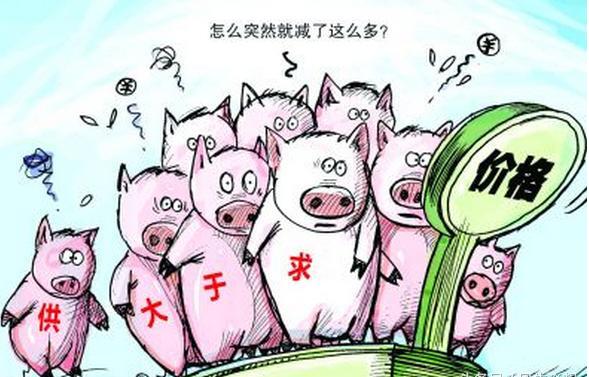 猪坚强不再，猪肉价格持续下滑，不少猪场已现投资亏损