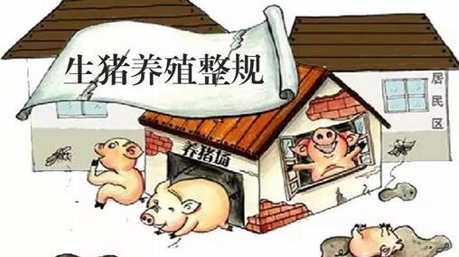 养殖场对于强拆与补贴,你必须了解这些