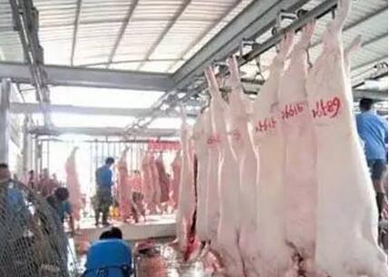 国务院法制办拟加大对生猪屠宰违法行为处罚