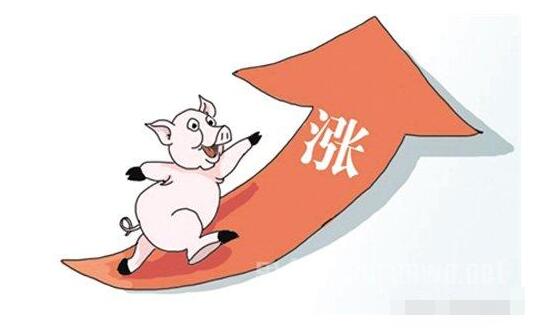 夏季猪价:此刻有多疯狂,后面就会有多大的坑!