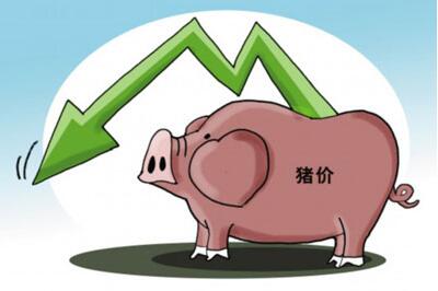 为何业内认为下半年猪价难有起色?