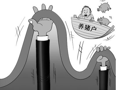 2017年猪价走势极其反常,到底是什么原因打压了猪市?