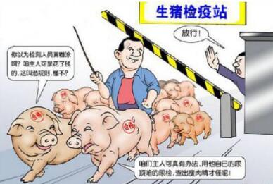 狼来了!低价洋猪肉已侵占国内市场,养猪人将如何面对?