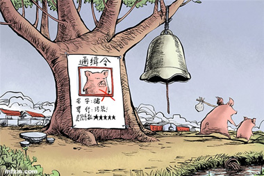 禁养进行时!一刀切做法让养猪劳动模范也感走投无路