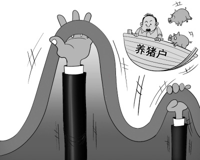今年猪价将和5年前一样下半年反弹?事实将令人震惊
