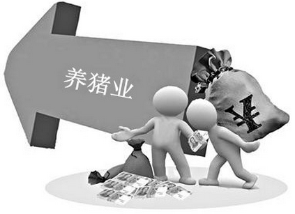 【怪象】值得反思:现代养猪业到底在进步还是倒退?