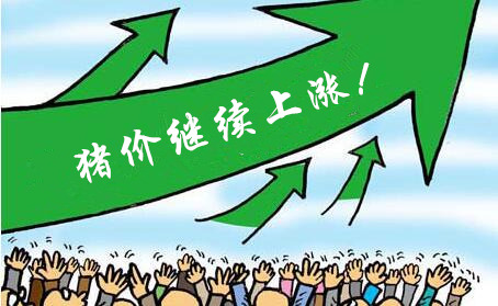 “贴秋膘”助涨猪价,涨幅接近一块,下周将下跌?