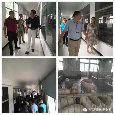 参观考察纪实｜精英荟萃聚江城 共话行业新发展