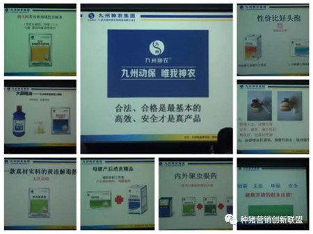 参观考察纪实｜精英荟萃聚江城 共话行业新发展