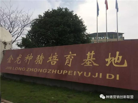 参观考察纪实｜精英荟萃聚江城 共话行业新发展