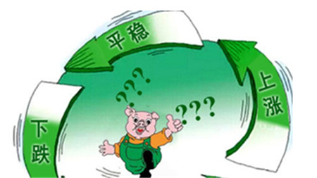 环保高压能改变猪周期走势吗?