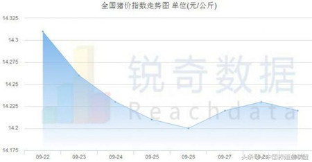 几组数据，让你看清猪价是涨还是跌？