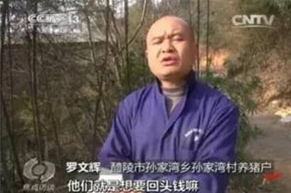 央视曝光:猪农想拿养猪补贴须先向畜牧局交“回头钱