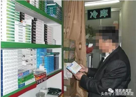 猪场常备哪些药?养殖户要知道!