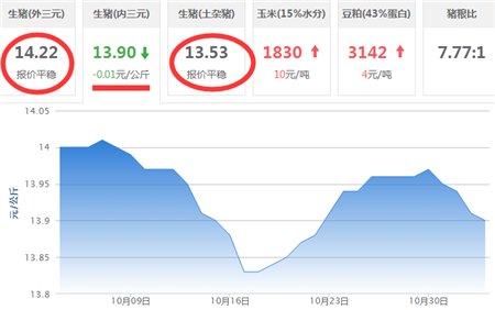 屠企压价+养殖户抵触 生猪价格最后冲刺恐不太乐观