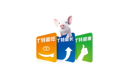 这些日子,每当遇到行业有人,他们都会说:播恩真不错,发展非常快,你们播恩TTT教槽料非常棒。