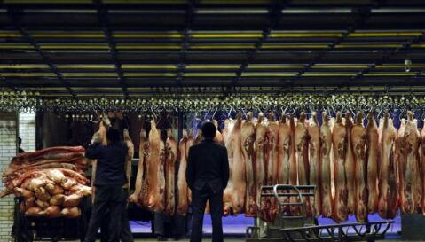 四大理由证明年底猪价上涨有望！