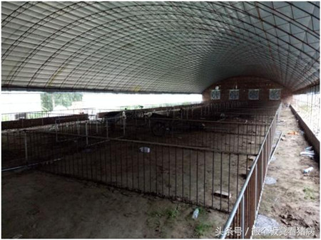 驾驭猪病—这样建设猪场,养猪人就把钱赚到一半了