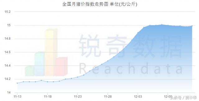 猪市分析：利好利空皆两说，下一节点又在哪里