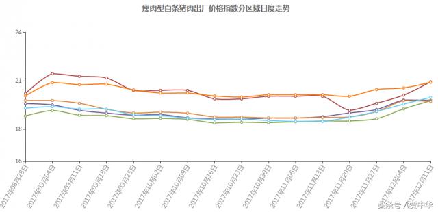 猪市分析:利好利空皆两说,下一节点又在哪里