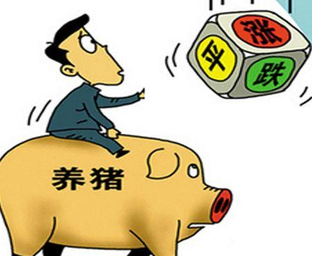 目前国内猪价进入了窄幅调整，各地波动不大，无论是上涨还是下跌都在0.1-0.2元的范围内。