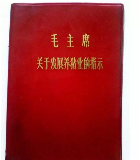 毛泽东:关于养猪业发展的一封信