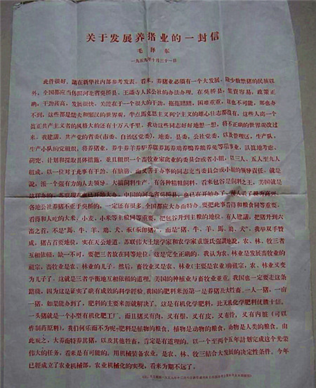 毛泽东:关于养猪业发展的一封信
