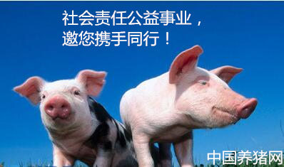 优秀的企业总能积极的回应时代的诉求,以促进社会的良性发展,社会责任公益事业是大势所趋。