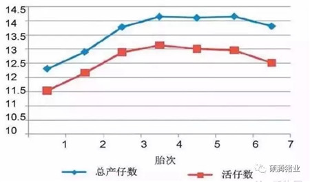 饲养与管理 