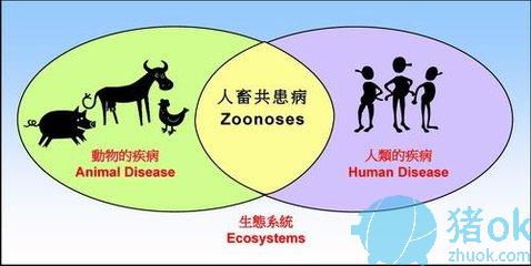 人畜共患病