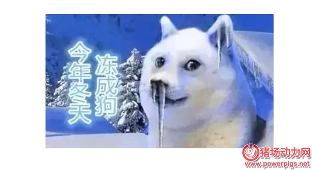 QQ截图20180123091301