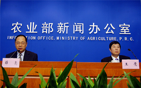 农业部为中国养猪业发声:猪肉到底可不可以放心吃?