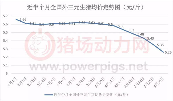 猪价亏得想退行？对此，养殖户们这么说……