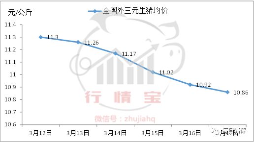 你是否已瞄上清明猪价？政府收储，猪友评论竟是……