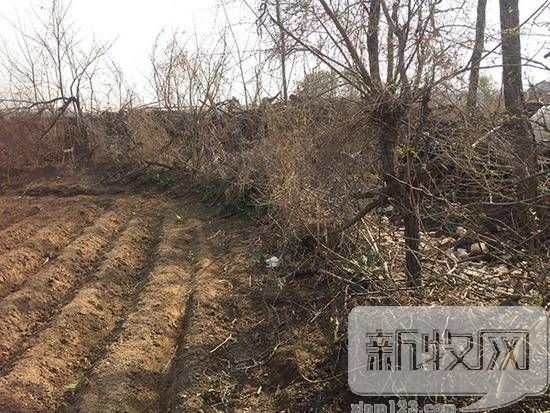 养猪屯命案：大连一家四口被杀 凶手被称许文强