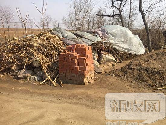 养猪屯命案：大连一家四口被杀 凶手被称许文强