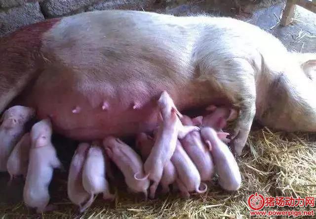 微信图片_20180510093439.jpg